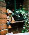 Fenster im Hof